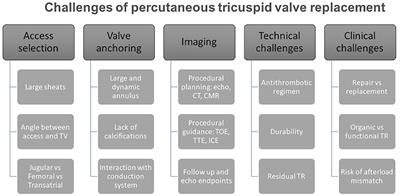 Transcatheter Tricuspid Valve Replacement: Principles and Design